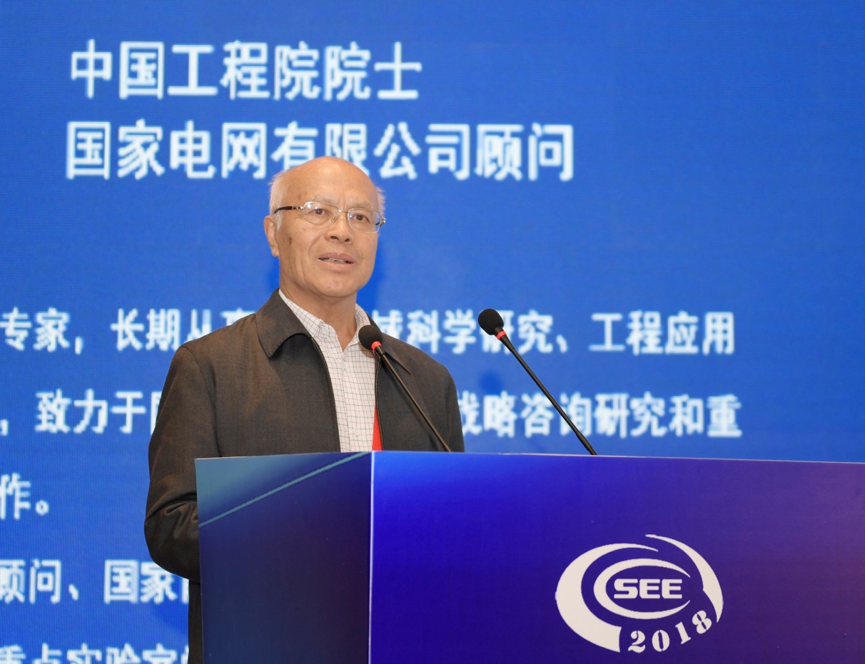 黄其励作特邀主旨报告五大发电集团,规划设计,制造,研究所的专家分别